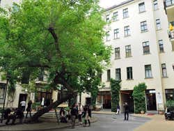 Quartiere ebraico, cortile